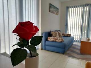 Апартаменты Apartment Dolce Петровац Апартаменты-35